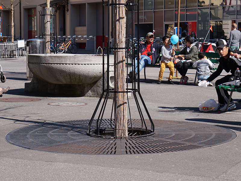 Grille de protection d'arbre