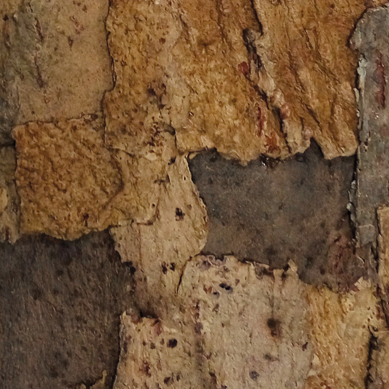 Sandstone